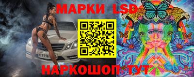 СК Можга