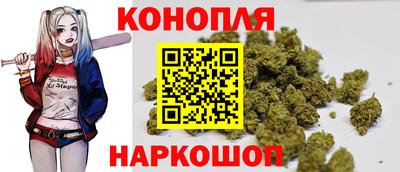 СК Можга