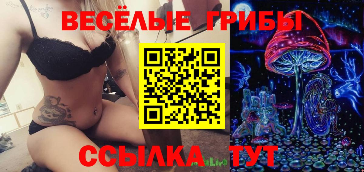 Таганрог  Псилоцибиновые грибы Psilocybine cubensis  Вход с VPN  где можно купить наркотик  Галлюциногенные грибы ЛСД 